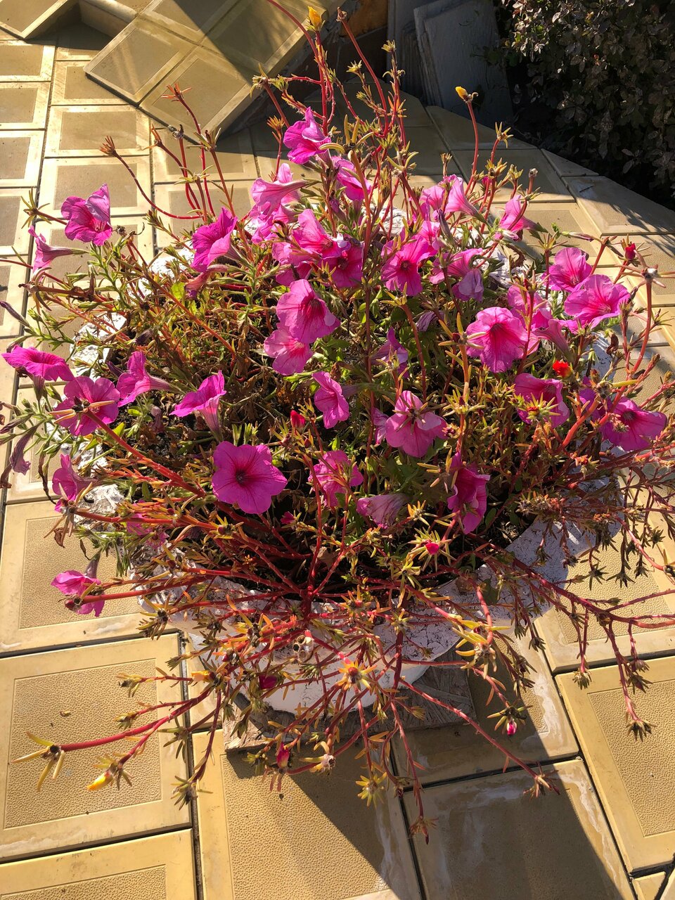 Гостиница Корона Ульяновск-169