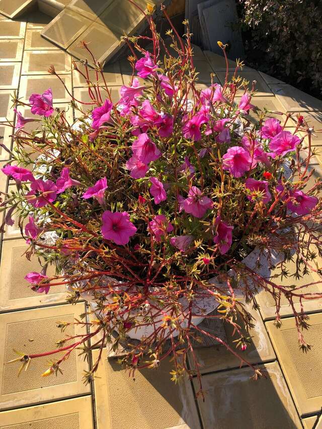 Гостиница Корона Ульяновск-168